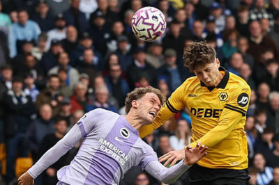 Brighton vs Wolves, 5 Fakta Menarik Jelang Laga Premier League